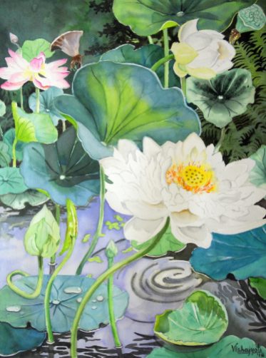Multipetaled White Lotus Pond