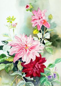 Pink and Red Dahlias