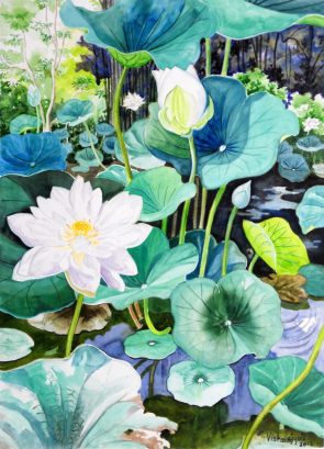 White Lotus Pond 1