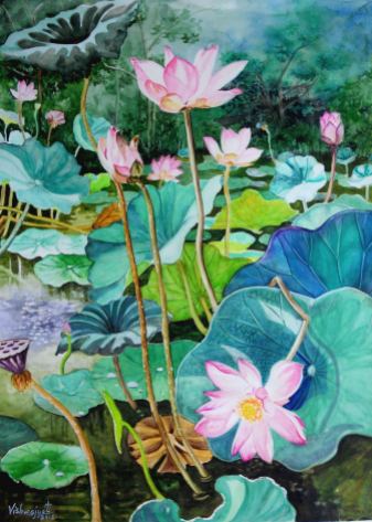 Pink Lotus Pond 2
